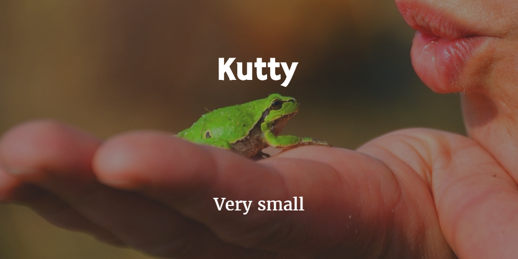 kutty is something very small
